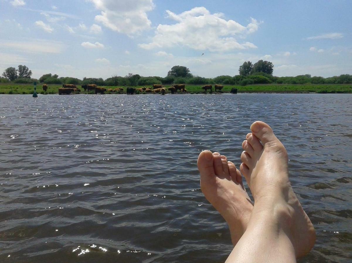 Bed En Breakfast Uitrust Lauwerzijl Luaran gambar